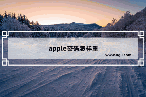 apple密码怎样重设