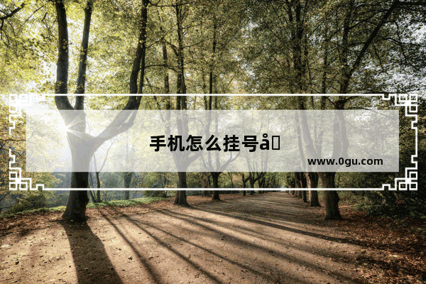手机怎么挂号医院的号