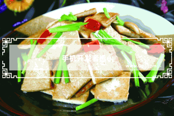 手机开发者选项在哪里找