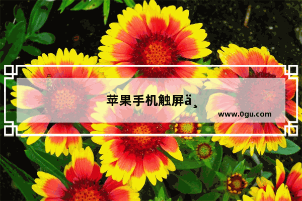 苹果手机触屏不灵敏怎么调整