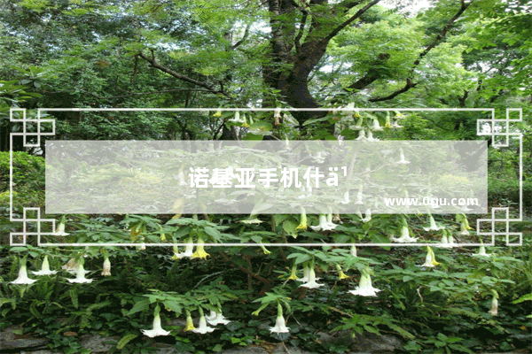 诺基亚手机什么时候有的