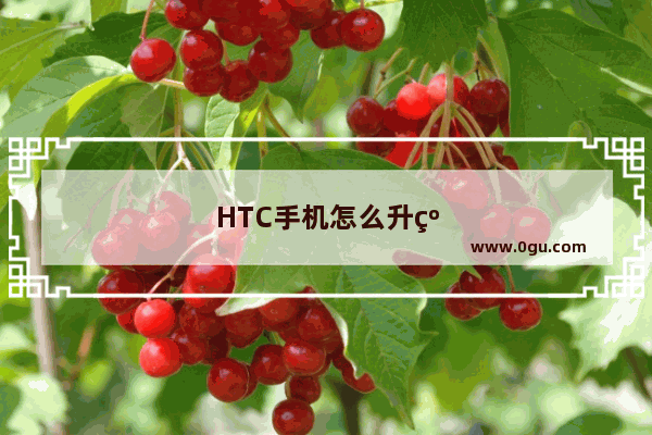 HTC手机怎么升级系统版本