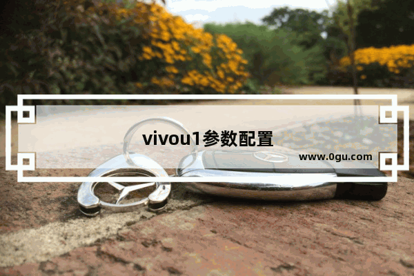 vivou1参数配置