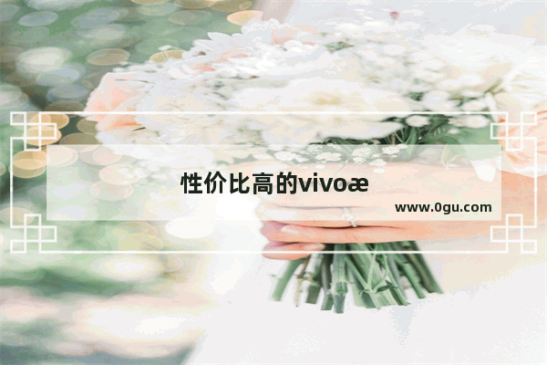 性价比高的vivo手机
