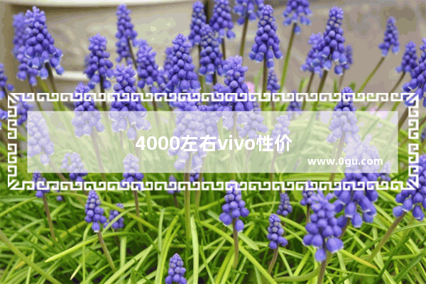 4000左右vivo性价比最高的手机