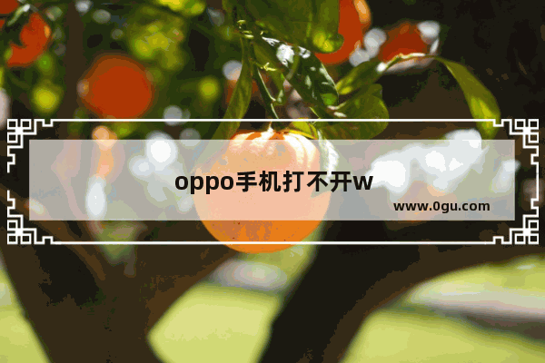 oppo手机打不开wifi怎么办