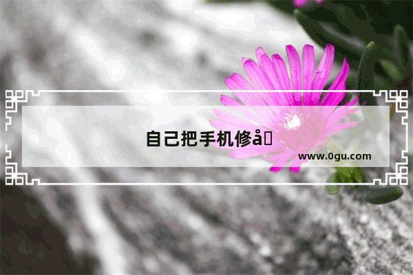 自己把手机修坏了 手机店可给修手机吗