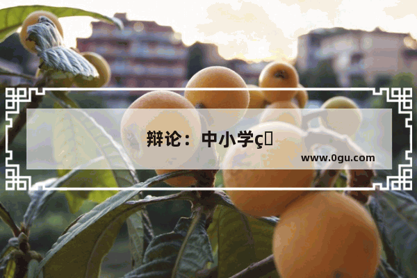 辩论：中小学生用手机适不适合
