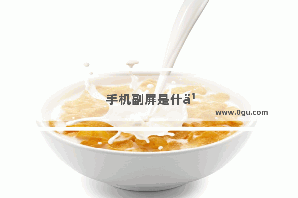 手机副屏是什么
