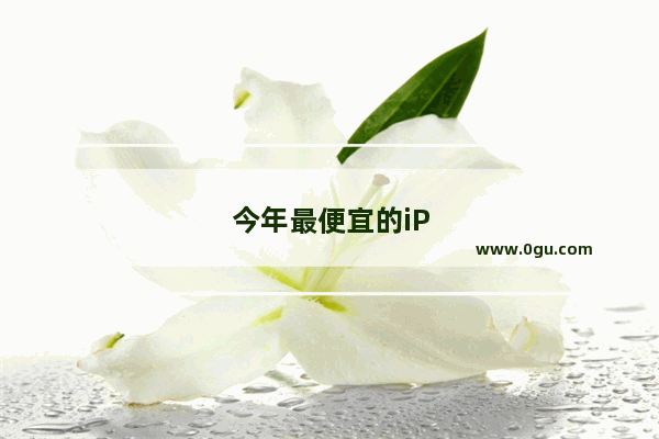 今年最便宜的iPhone来了 iPhoneSE：三款配色 你最Pick哪个颜色