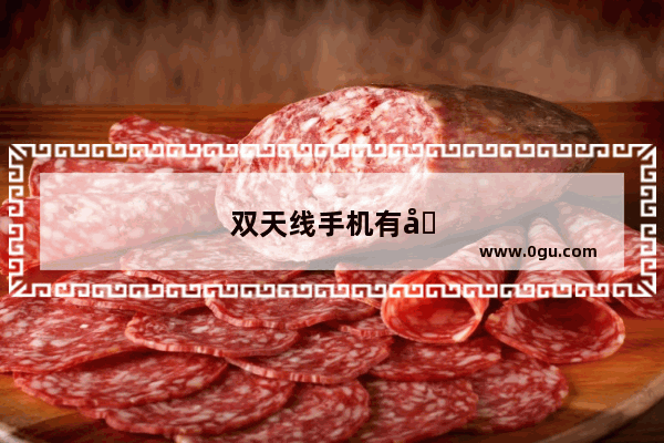 双天线手机有哪些类型