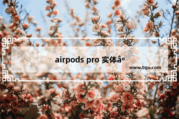 airpods pro 实体店购买 怎么查询购买记录
