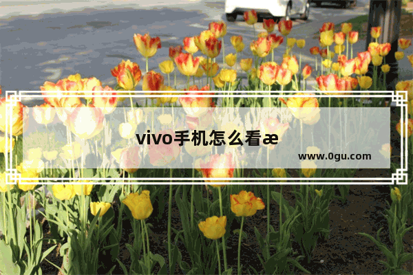 vivo手机怎么看手机参数