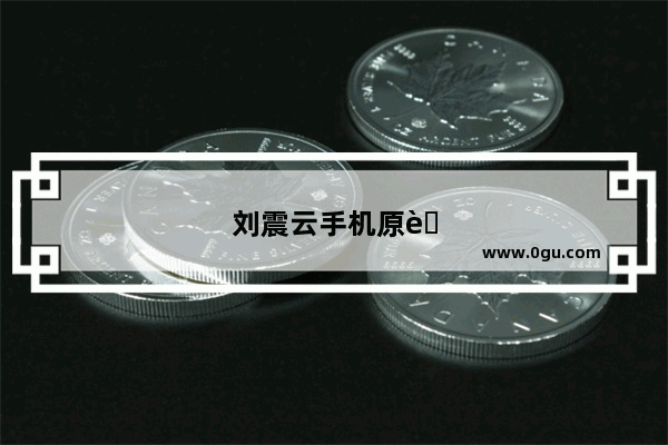 刘震云手机原著小说