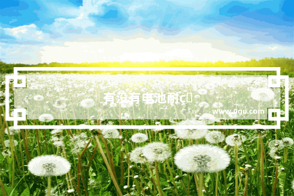 有没有电池耐用、速度又快又便宜的二手手机推荐