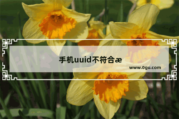 手机uuid不符合是什么意思