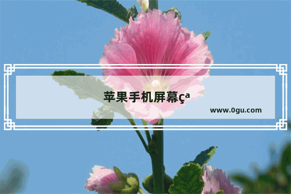 苹果手机屏幕突然变暗怎么解决