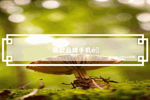 哪款品牌手机销量第一
