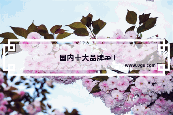 国内十大品牌手机有哪些