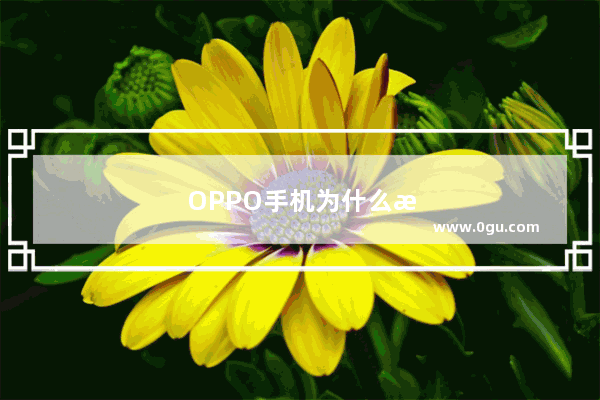 OPPO手机为什么我的里面没有权限管理