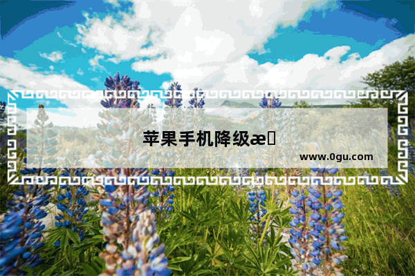 苹果手机降级教程