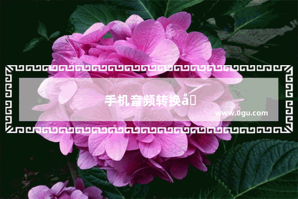 手机音频转换器在哪里