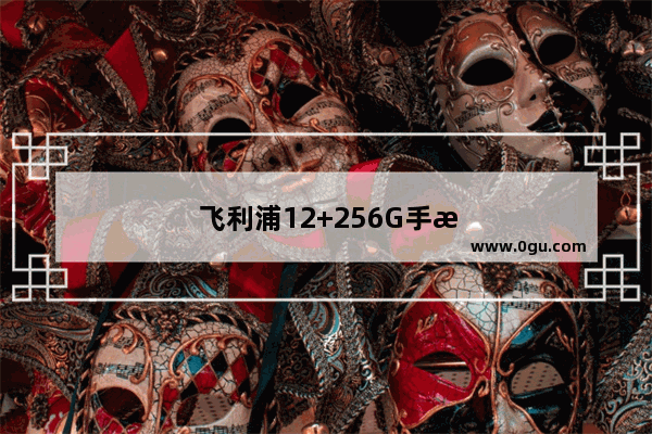 飞利浦12+256G手机多少钱