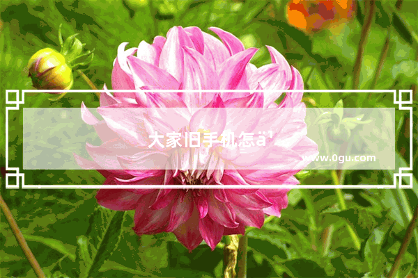 大家旧手机怎么处理 送人前如何彻底清理