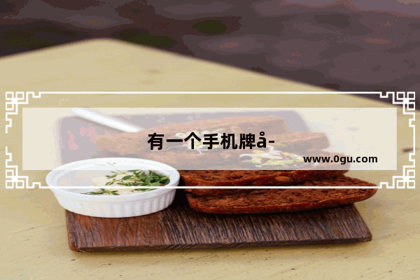 有一个手机牌子叫Goo什么什么 请问他的全名叫什么