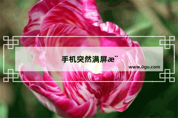 手机突然满屏横线怎么办