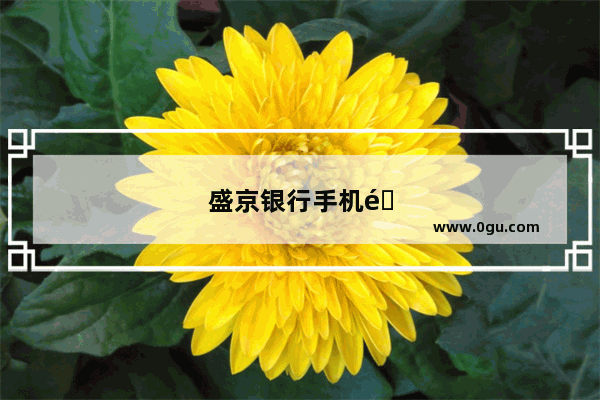盛京银行手机银行下载