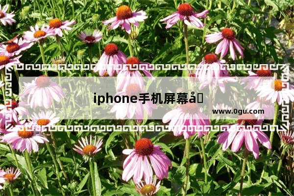 iphone手机屏幕变大怎么缩小
