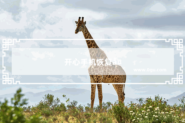 开心手机恢复大师