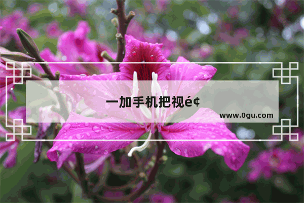 一加手机把视频做成动态壁纸