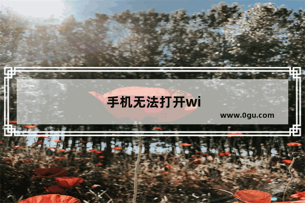 手机无法打开wifi