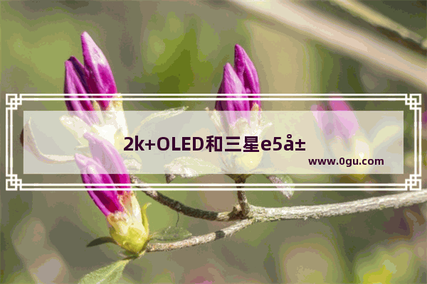 2k+OLED和三星e5屏幕哪个好