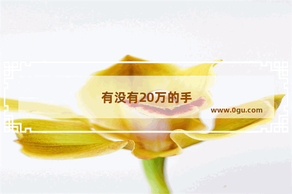 有没有20万的手机