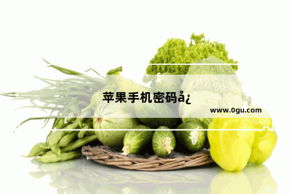 苹果手机密码忘了怎么打开