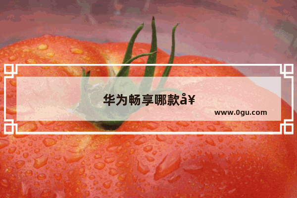 华为畅享哪款好