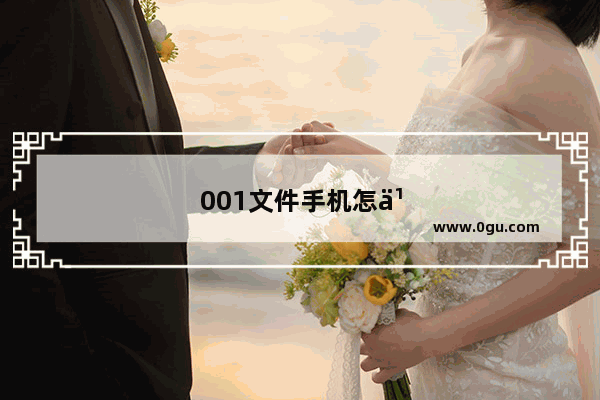 001文件手机怎么解压