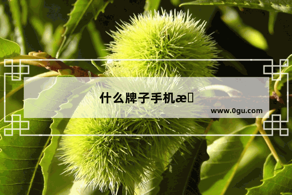 什么牌子手机抢单最快