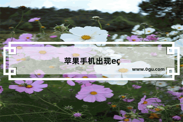 苹果手机出现e网怎么回事