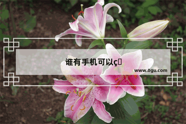 谁有手机可以看的电影