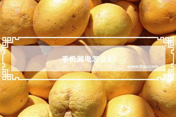 手机漏电怎么办