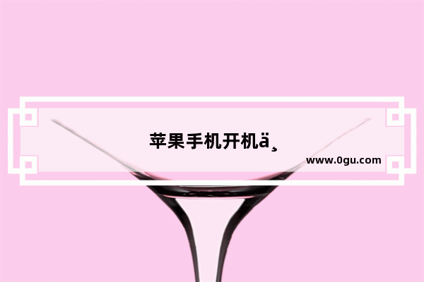 苹果手机开机一直闪白苹果