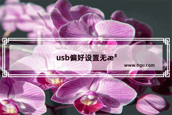 usb偏好设置无法切换