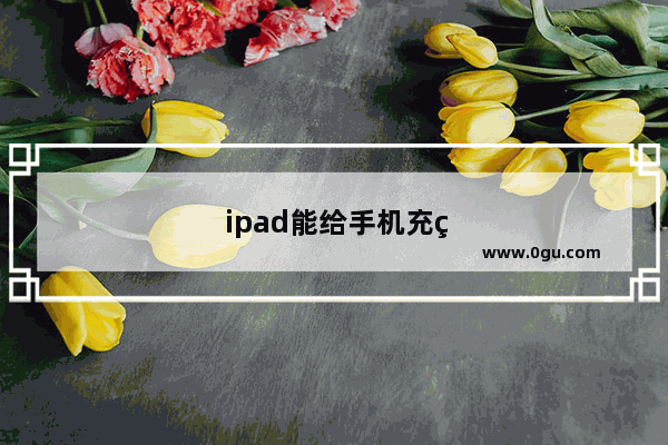 ipad能给手机充电吗