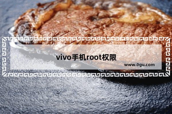 vivo手机root权限怎么开启