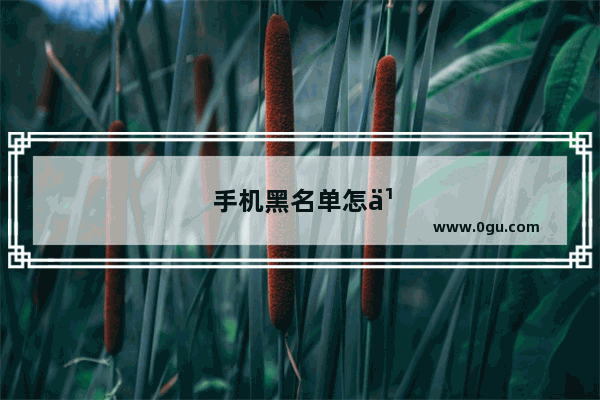 手机黑名单怎么取消拉黑