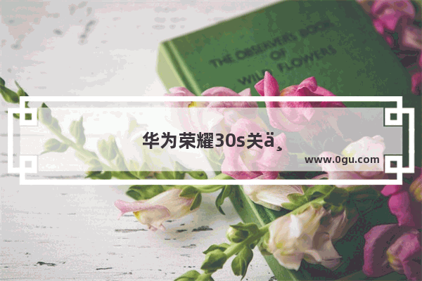 华为荣耀30s关不了屏
